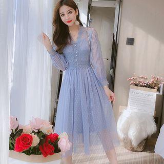 Lace Trim Dotted Long-sleeve Midi A-line Mesh Dress
