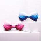Gradient Patterned Bow Tie