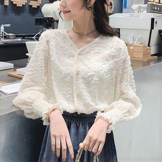 Long-sleeve Lace V-neck Blouse
