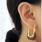 Acrylic Alloy Earring