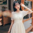 Lace V-neck Short Sleeve Dress