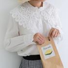 Lace Collar Shirt Milky White - One Size