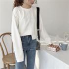 Long-sleeve Plain Asymmetrical Hem Sweatshirt