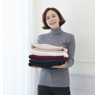 Turtle-neck Cable-knit Slim-fit Top
