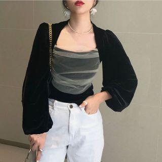 Velvet Sleeve Mesh Top