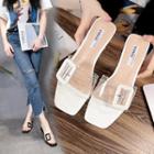 Transparent Strap Slide Block-heel Sandals
