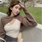 Long-sleeve Plain Cropped Knit Top / Sleeveless Top