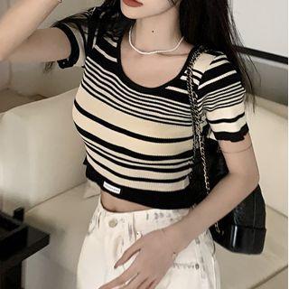 Short-sleeve Striped Knit Crop Top / Tank Top