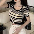 Short-sleeve Striped Knit Crop Top / Tank Top