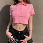 Short Sleeve Embroidered Crop Polo Top