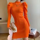 Long-sleeve Knit Shift Dress / Top