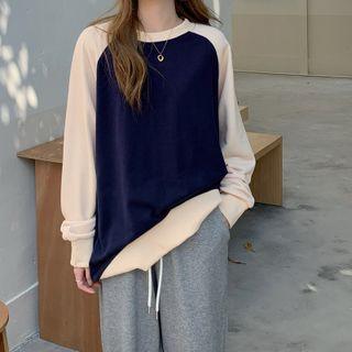 Plain Raglan Sweatshirt