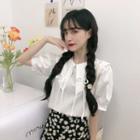 Doll Collar Short-sleeved Top