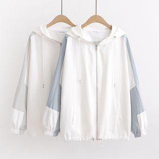 Paneled Windbreaker