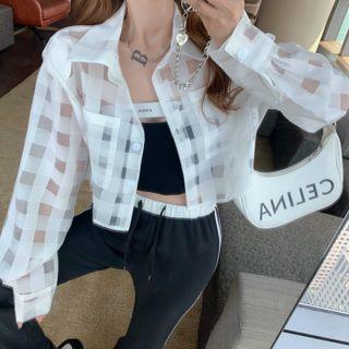 Mesh Crop Shirt