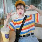 Short Sleeve Rainbow Stripe T-shirt As Shown In Figure - One Size