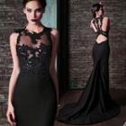 Sheer Panel Lace Applique Trained Evening Dress