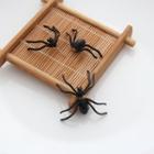 Alloy Spider Through & Through Earring Black - One Size
