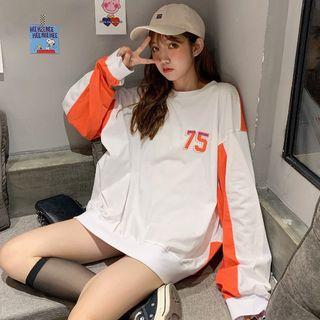 Numbering Paneled Pullover