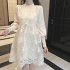 Plain Long-sleeve Knit Dress / Lace See-through Dress