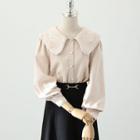 Lace Trim Embroidered Collar Blouse