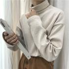 Long Sleeve Turtleneck Plain Top