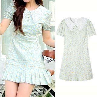 Short-sleeve Lace Collar Floral Mini Sheath Dress