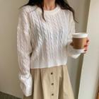 Drop-shoulder Cable-knit Crop Top