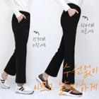 Straight Dress Pants (short/basic)
