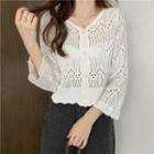 Long-sleeve Pointelle Knit Button-up Knit Top