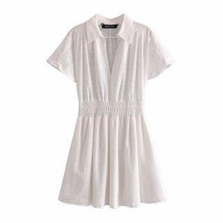 Collared Embroidered Eyelet Mini A-line Dress