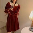 Contrast Collar Velvet A-line Dress
