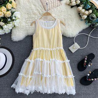 Set: Sleeveless Pom Pom Mesh Dress + Slipdress