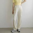 Invert-pleat Wide-leg Pants