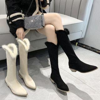 Pointed Tall Boots
