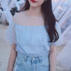 Flutter Short-sleeve Mesh Panel Lace Top