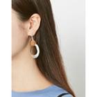 Metallic Pendant Hook Earrings