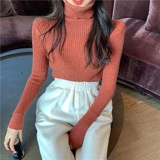 Plain Turtle-neck Fleece Long-sleeve Knit Top