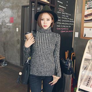Turtle-neck Rib-knit Sweater