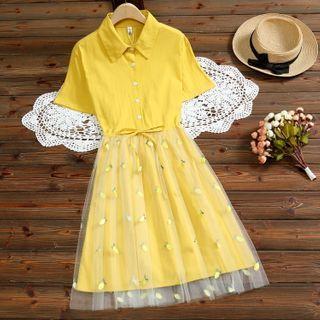 Collared Short-sleeve Sheer Panel A-line Dress