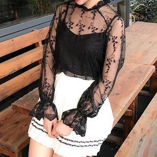 Embroidered Frill Trim Long Sleeve Mesh Top