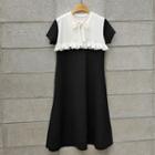 Tie-neck Two-tone Flare Dress