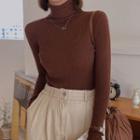 Turtle-neck Rib-knit Top In 15 Colors