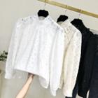 Long-sleeve Stand Collar Lace Crochet Blouse
