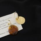 Disc Asymmetrical Alloy Dangle Earring 1 Pair - Gold & Amber - One Size