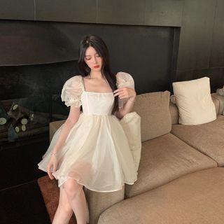 Plain Mesh A-line Mini Dress