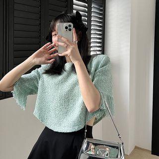 Short-sleeve Plaid Fringed Trim Blouse