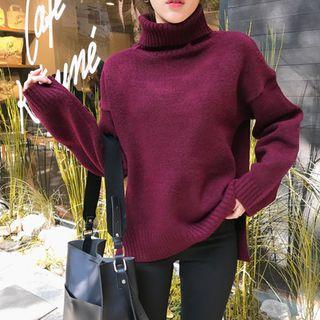 Shell Turtle-neck Knit Top