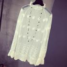 Long-sleeve Sheer Lace Dress