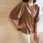 Hidden-button Puff-sleeve Blouse